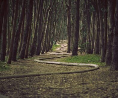 james-forbes-jrzvClypPq8-unsplash