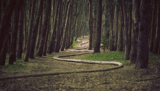 james-forbes-jrzvClypPq8-unsplash