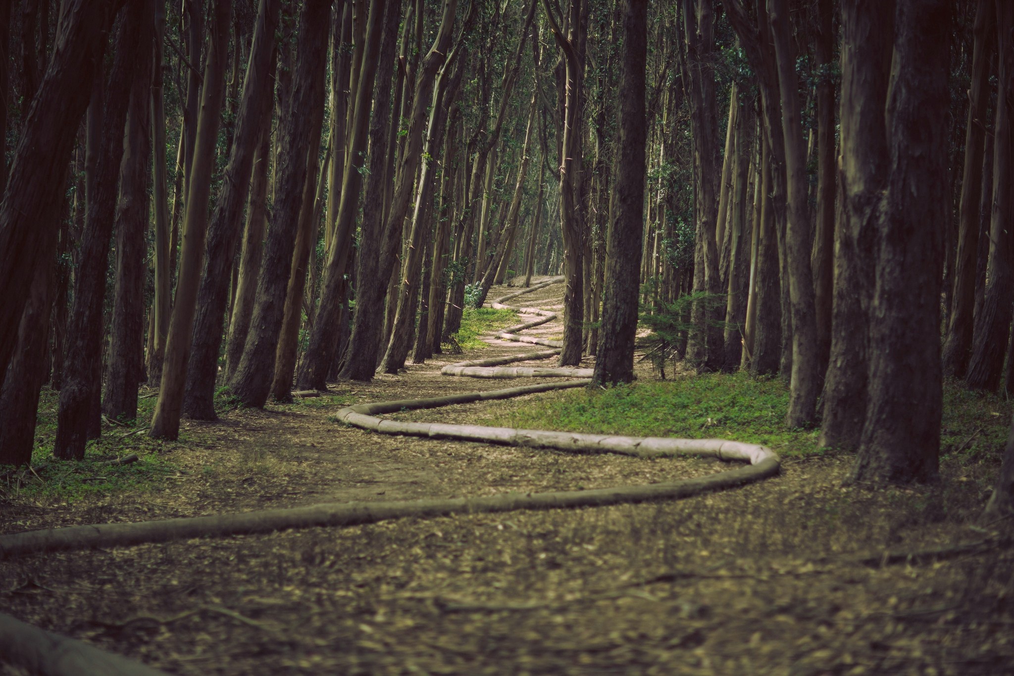 james-forbes-jrzvClypPq8-unsplash james-forbes-jrzvClypPq8-unsplash