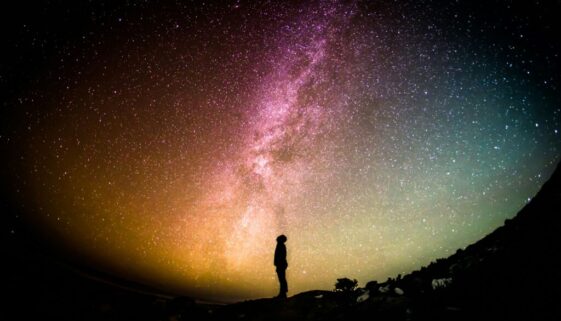 greg-rakozy-oMpAz-DN-9I-unsplash greg-rakozy-oMpAz-DN-9I-unsplash