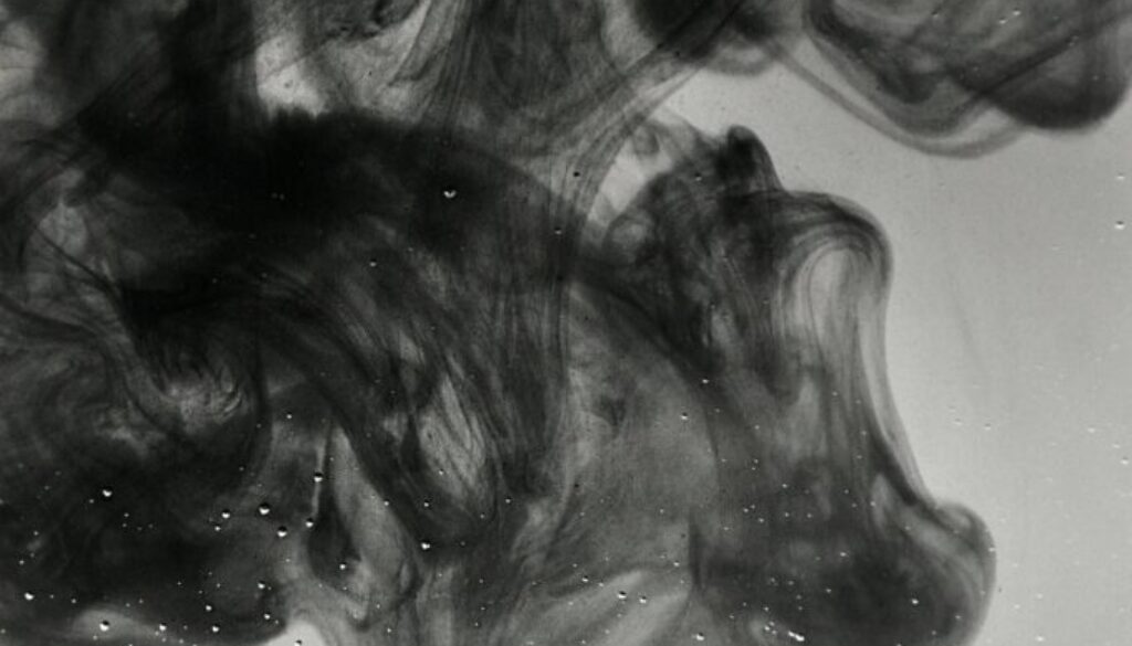 lieselot-dalle-BvxTpTj0QlA-unsplash