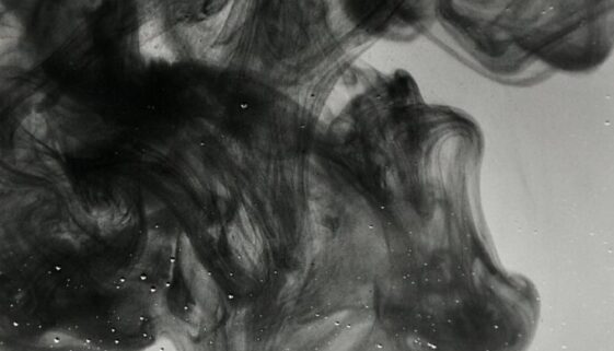 lieselot-dalle-BvxTpTj0QlA-unsplash lieselot-dalle-BvxTpTj0QlA-unsplash