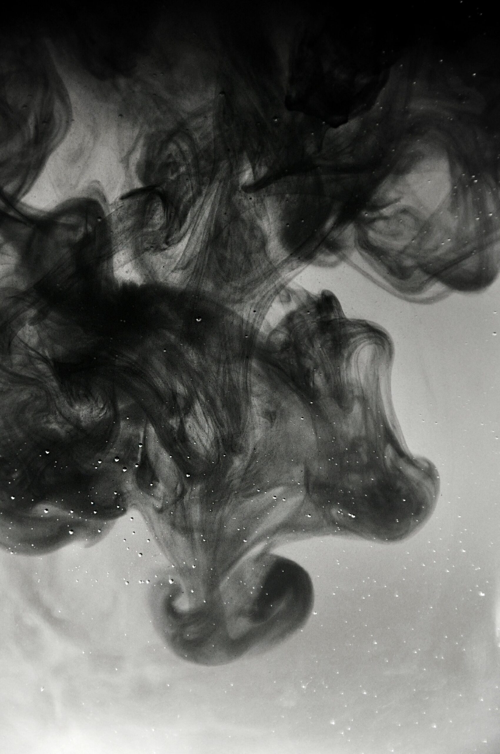 lieselot-dalle-BvxTpTj0QlA-unsplash