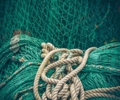 michael-held-K9ILlHvNnso-unsplash (1)