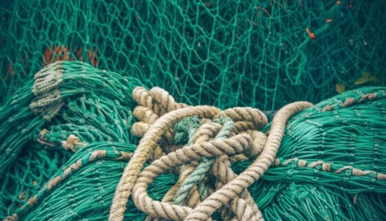 michael-held-K9ILlHvNnso-unsplash (1) michael-held-K9ILlHvNnso-unsplash (1)